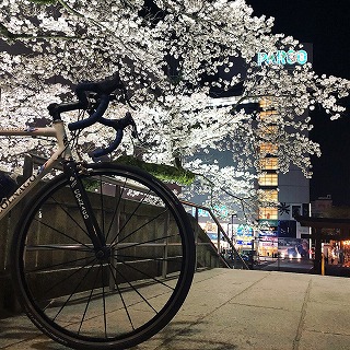 二荒山神社夜桜