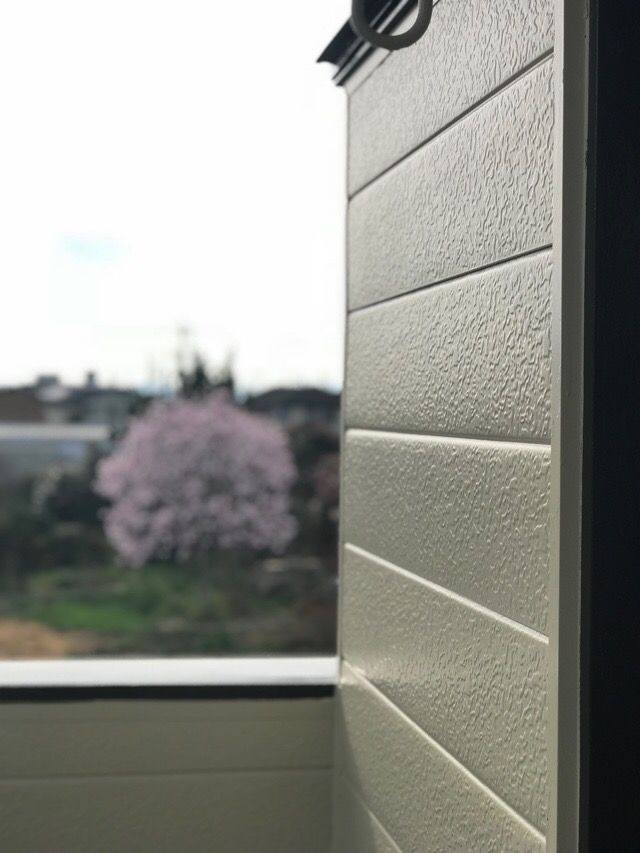 ミーティング&現場確認