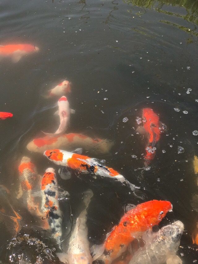 13B0CA7E-2808-42B7-BB0F-F6A92B7C8D46