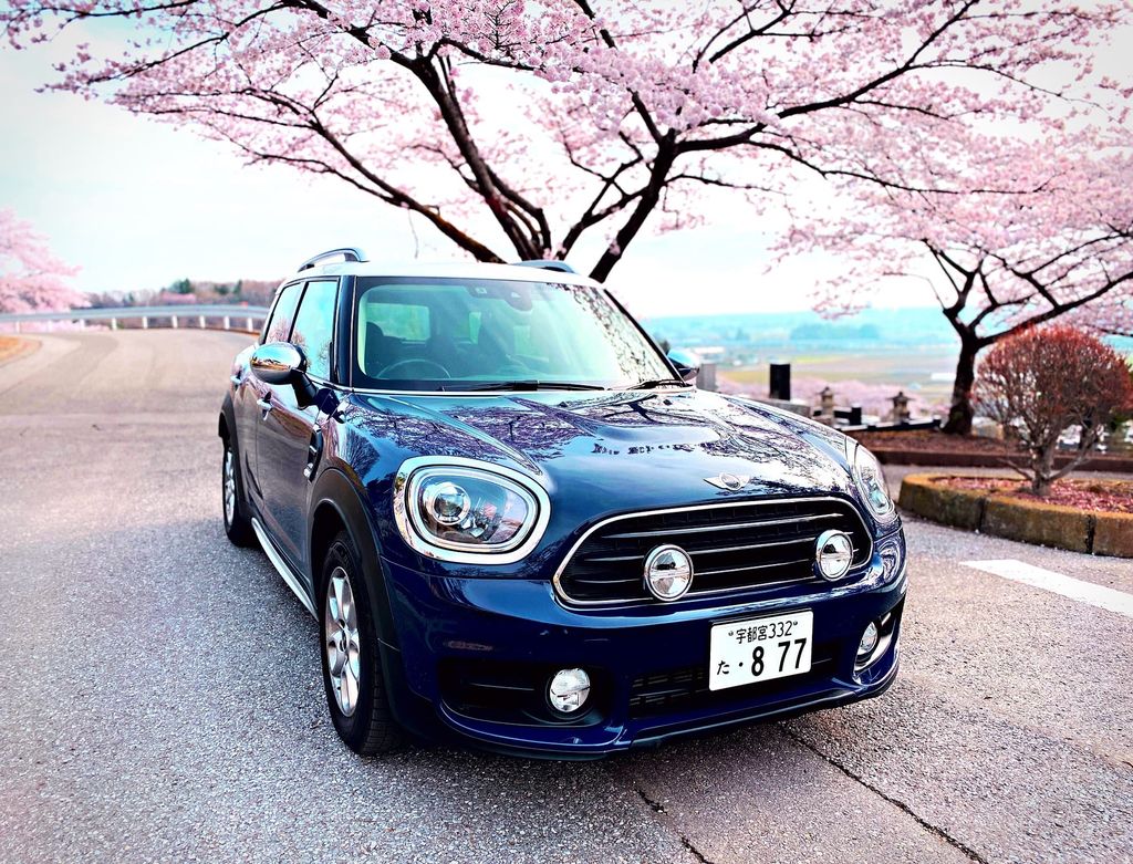 来年もサクラサク🌸