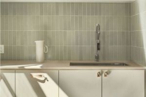 マンションリゾート リノベ完成見学会