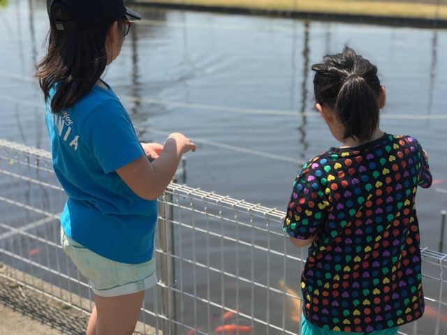 366DE101-9C30-410C-B9E4-5E7B2A53CBFE