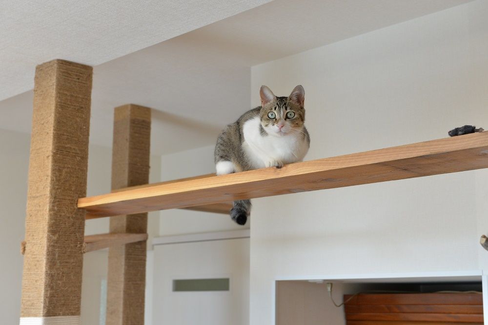 家族の絆物語更新しました。