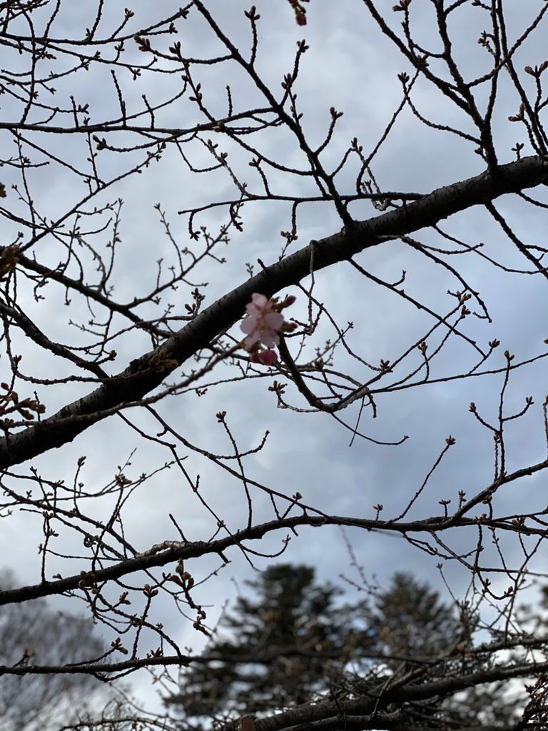 blog『家族間で話しておきたい３つのポイント』を更新しました。