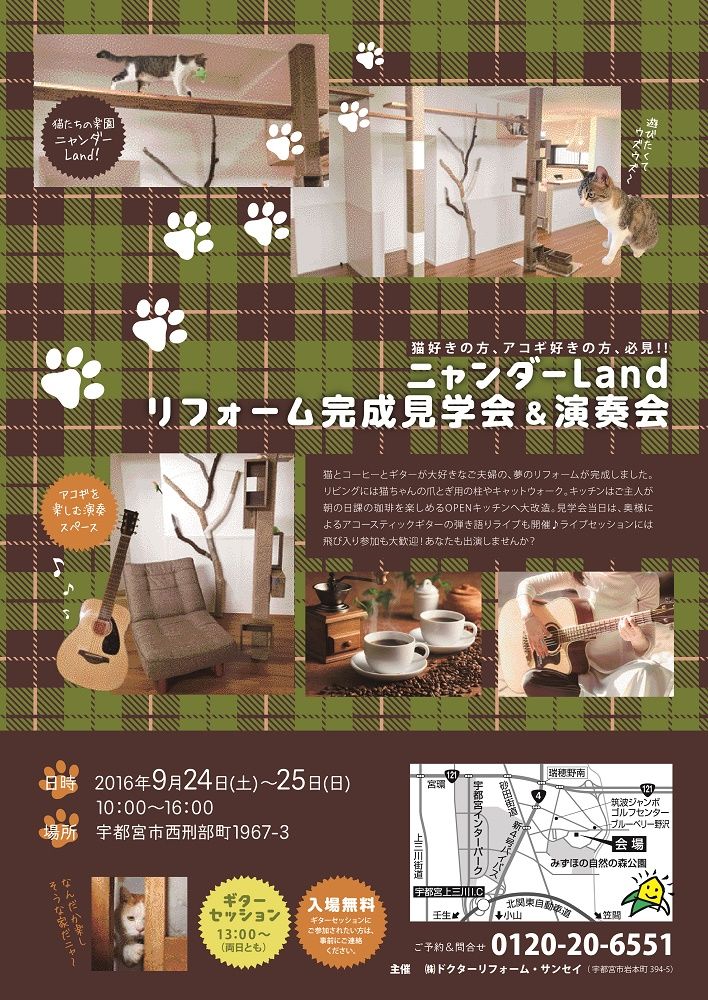 猫好きの方、アコギ好きの方、必見です！