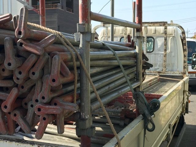 メキシコのバラバラを愉しむ