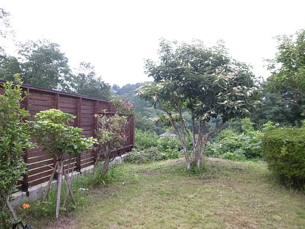 ロードバイク専用ちゃりん庫＋α　宇都宮市　￥９００万円～