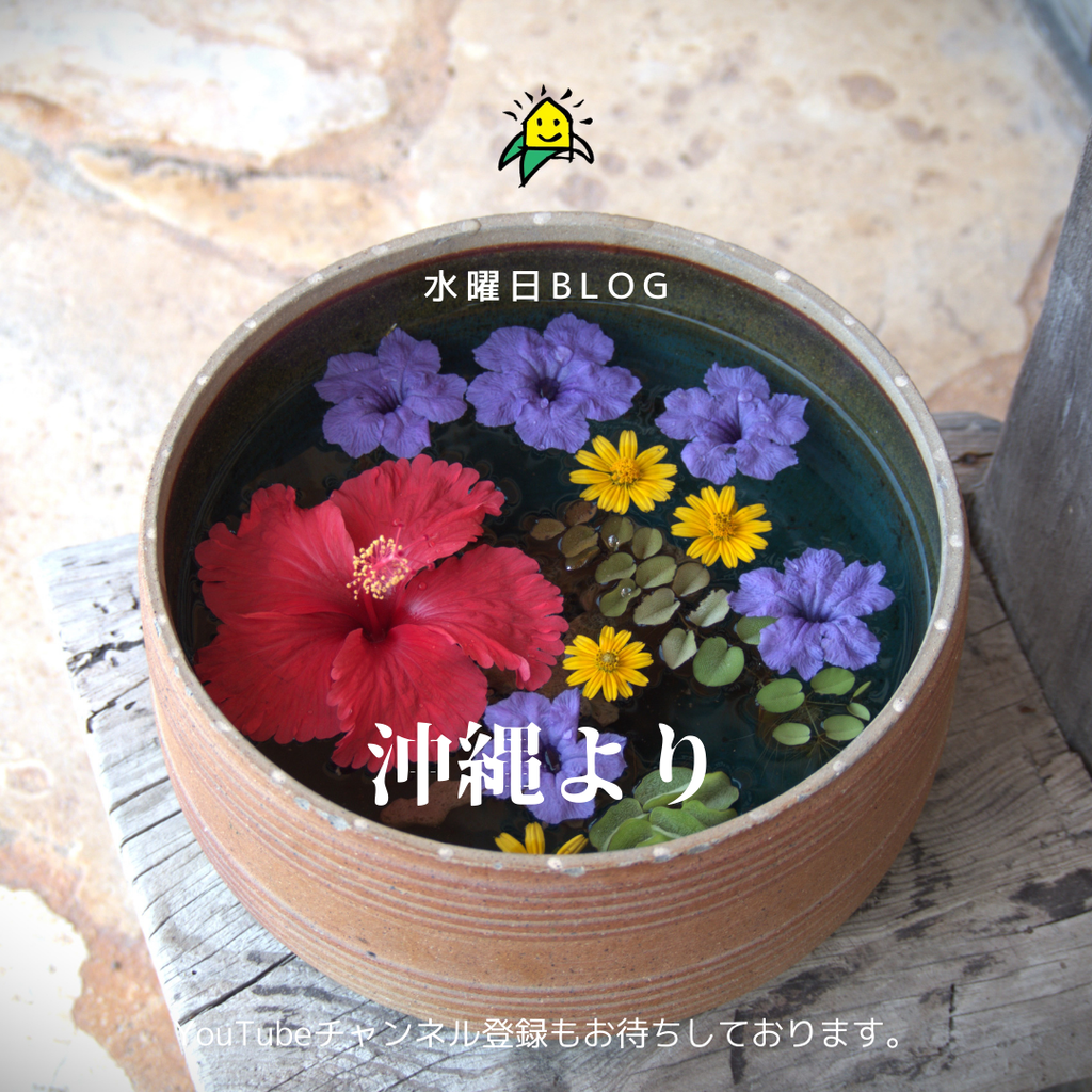 上下分離型二世帯新築住宅、工事始まりました。