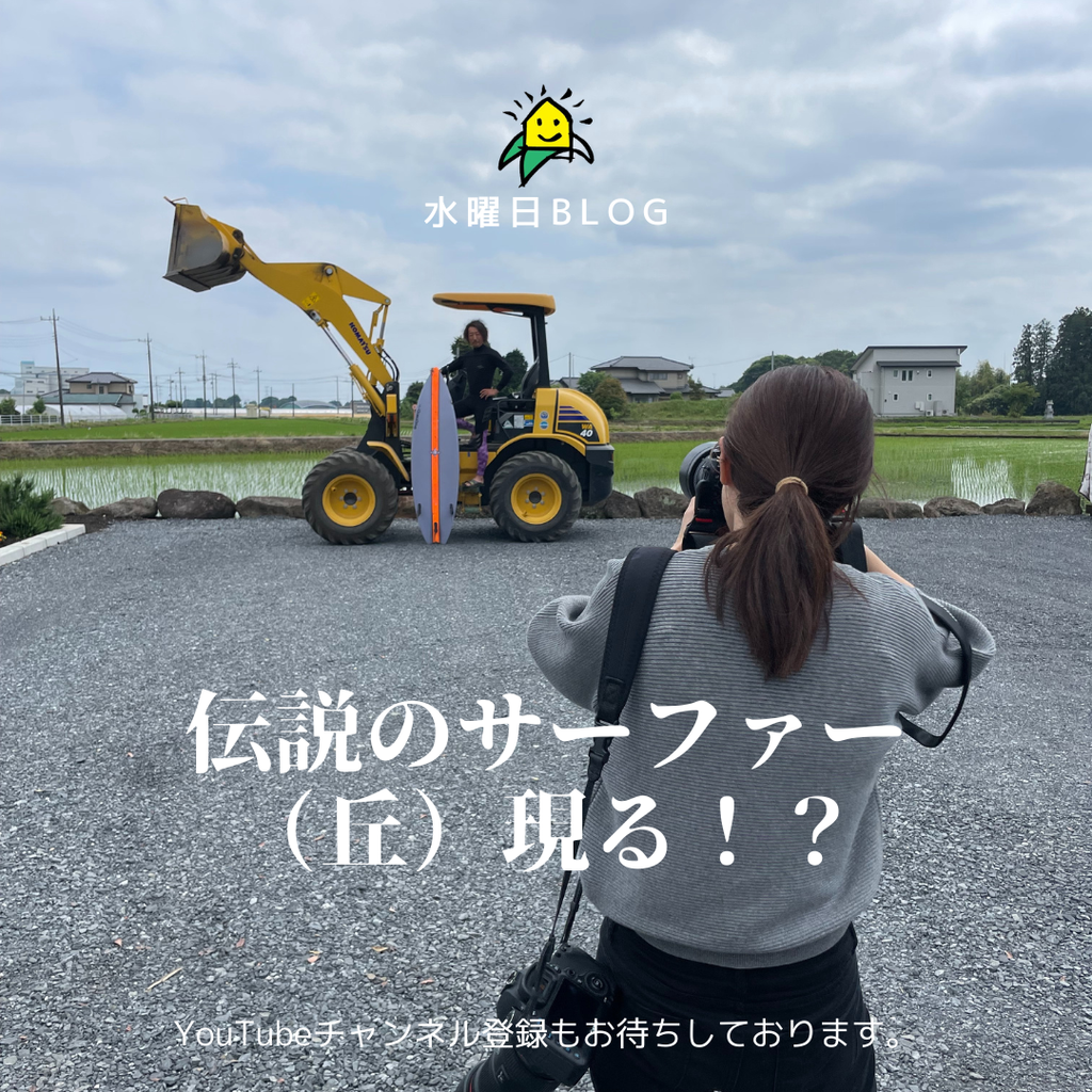 伝説のサーファー（丘）現る！？