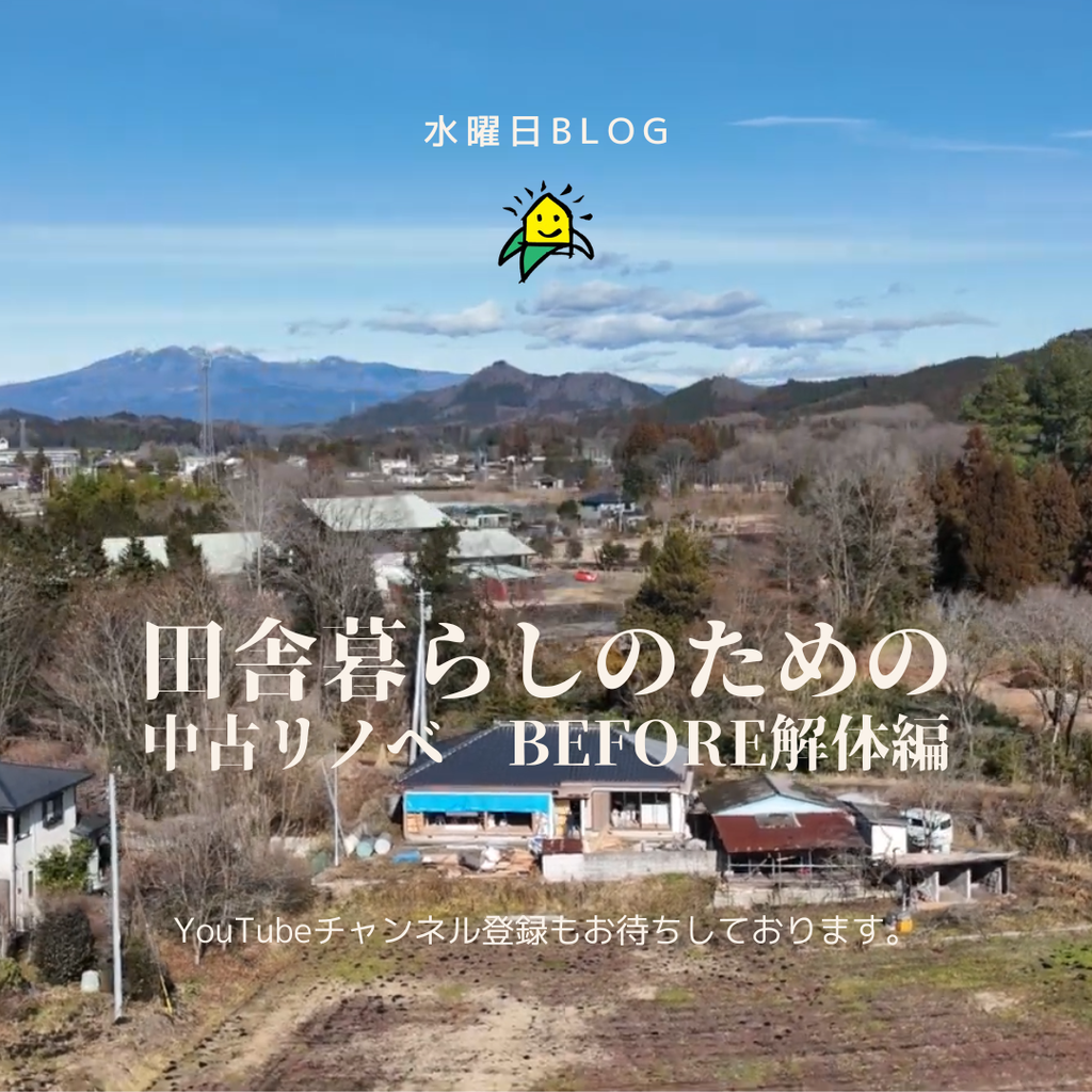 blog『田舎暮らしのための中古リノベ　before＆解体編』