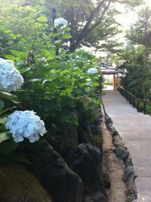 ばななくんのリフォームブログ