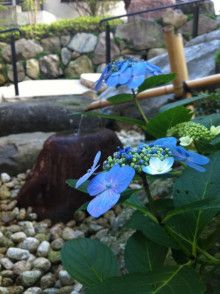 ばななくんのリフォームブログ