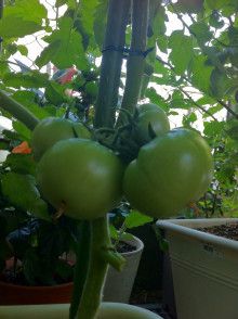 ばななくんのリフォームブログ