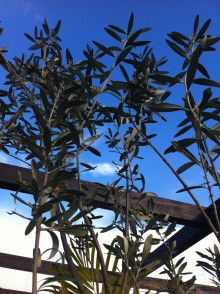 ばななくんのリフォームブログ