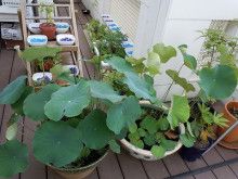 ばななくんのリフォームブログ