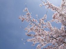 ばななくんのリフォームブログ