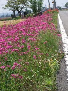 ばななくんのリフォームブログ