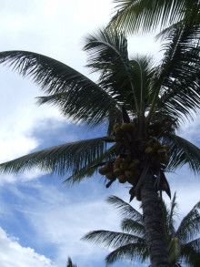 ばななくんのリフォームブログ