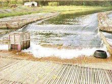 ばななくんのリフォームブログ