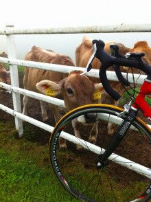 ばななくんのリフォームブログ