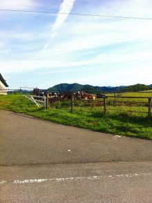 ばななくんのリフォームブログ