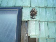 ばななくんのリフォームブログ