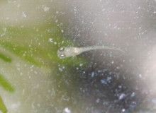 ばななくんのリフォームブログ