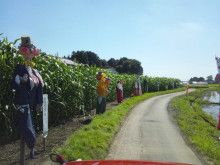 ばななくんのリフォームブログ-かかしロード