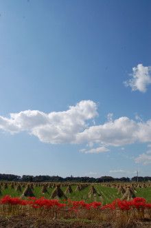 ばななくんのリフォームブログ