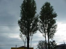 ばななくんのリフォームブログ