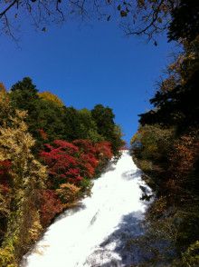 ばななくんのリフォームブログ