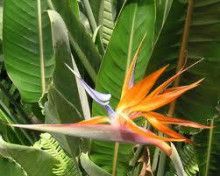 ばななくんのリフォームブログ