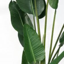 ばななくんのリフォームブログ