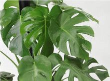 ばななくんのリフォームブログ