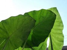 ばななくんのリフォームブログ