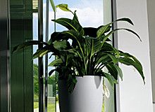 ばななくんのリフォームブログ