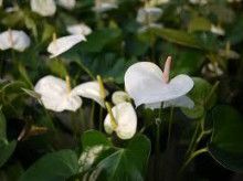 ばななくんのリフォームブログ