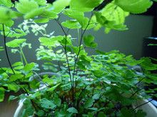 ばななくんのリフォームブログ