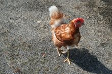 ばななくんのリフォームブログ