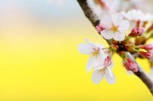 ばななくんのリフォームブログ