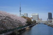 ばななくんのリフォームブログ