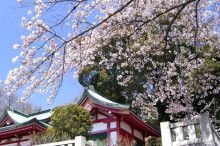 $ばななくんのリフォームブログ