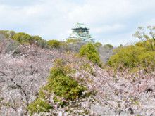 ばななくんのリフォームブログ