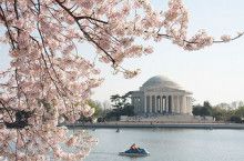 ばななくんのリフォームブログ