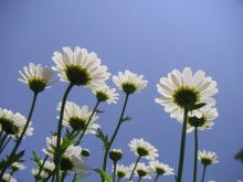 ばななくんのリフォームブログ