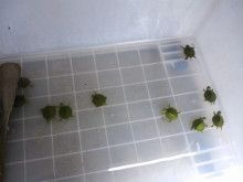 ばななくんのリフォームブログ