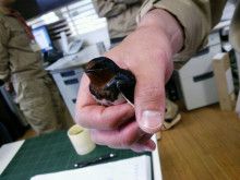 ばななくんのリフォームブログ