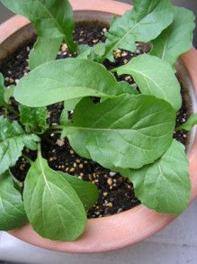 ばななくんのリフォームブログ