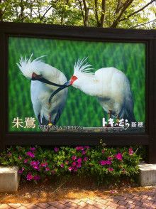 ばななくんのリフォームブログ