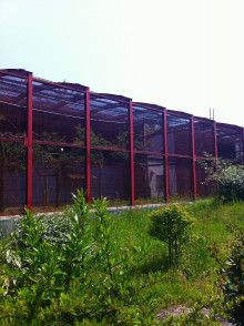 ばななくんのリフォームブログ